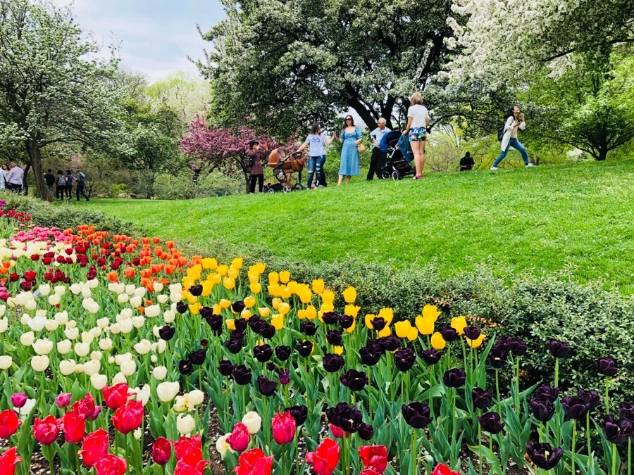 IMG_5490.jpg?type=w966