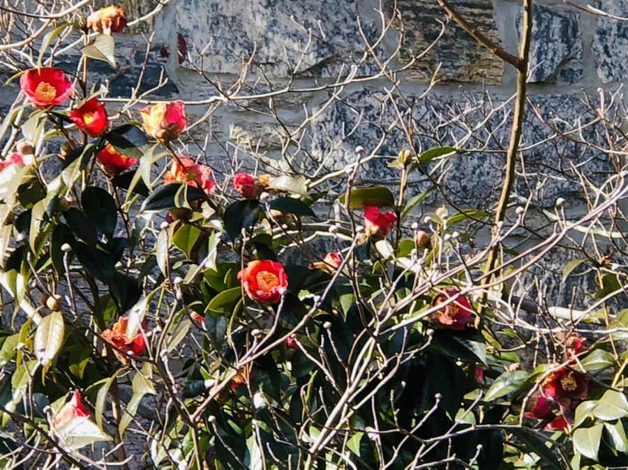 IMG_6525.jpg?type=w966