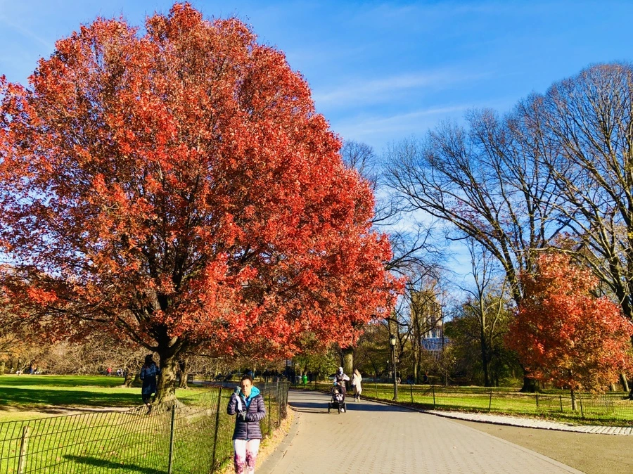 IMG_5314.jpg?type=w966