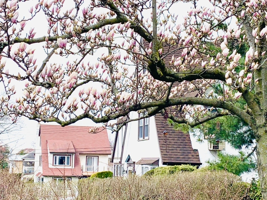 IMG_6604.jpg?type=w966