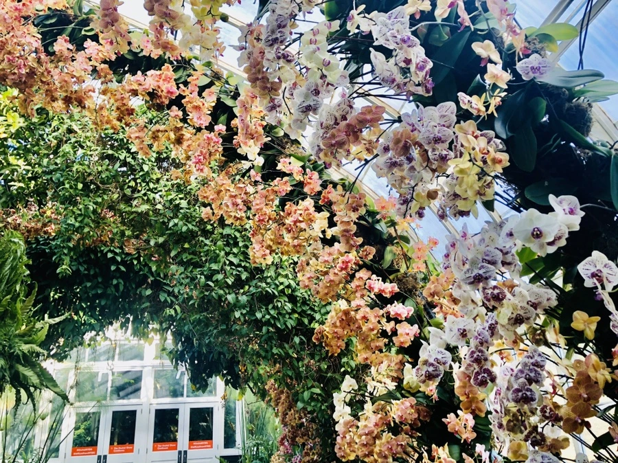 IMG_6280.jpg?type=w966