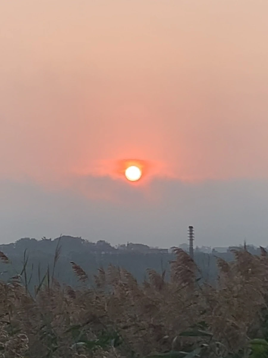 IMG_1128.jpg?type=w966