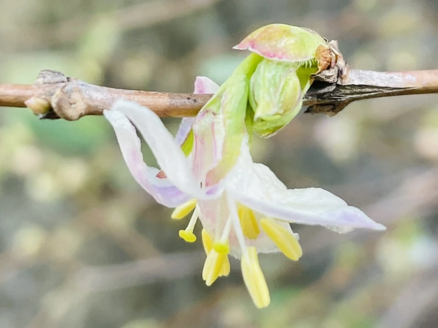 IMG_5182.jpg?type=w966