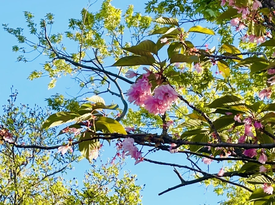 IMG_5882.jpg?type=w966