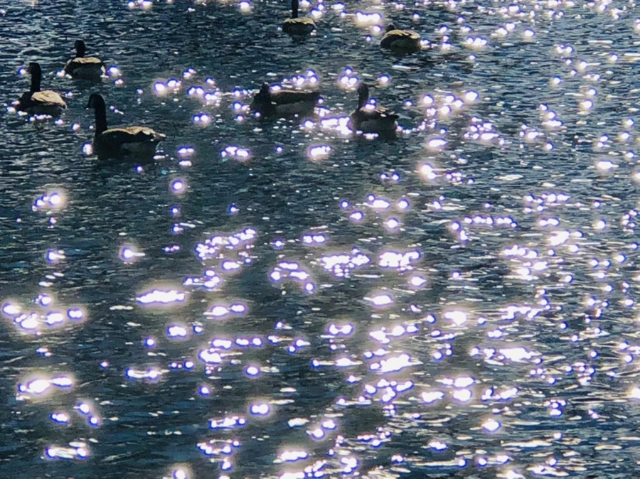 IMG_9197.jpg?type=w966