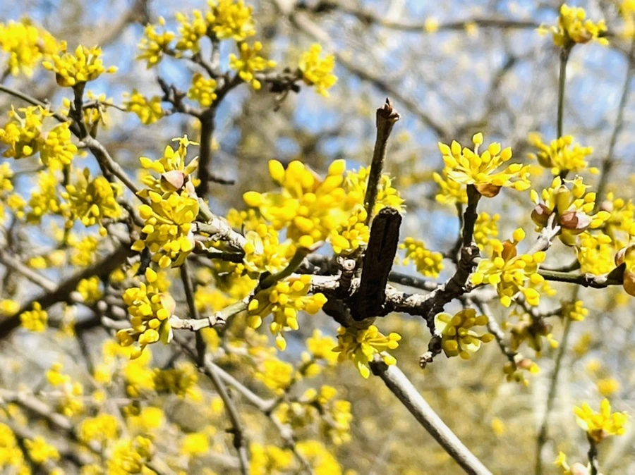 IMG_4960.jpg?type=w966