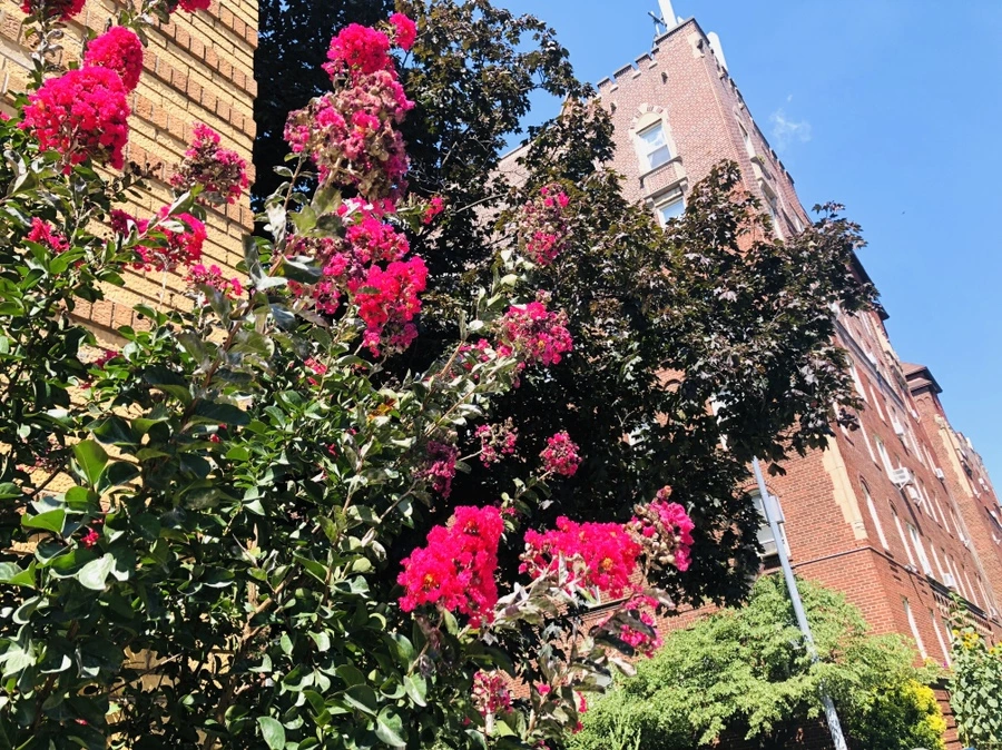 IMG_4803.jpg?type=w966