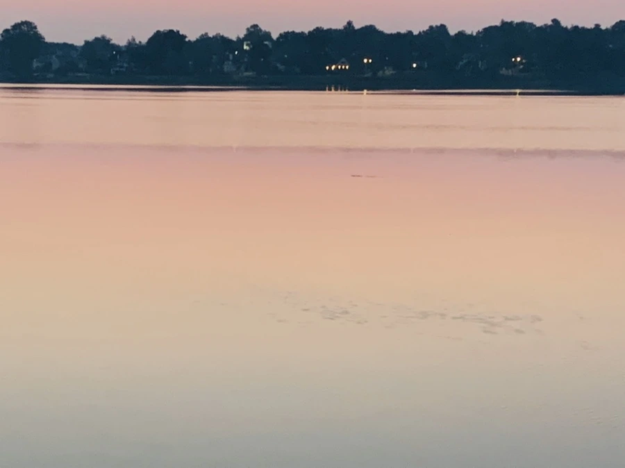 IMG_1837.jpg?type=w966