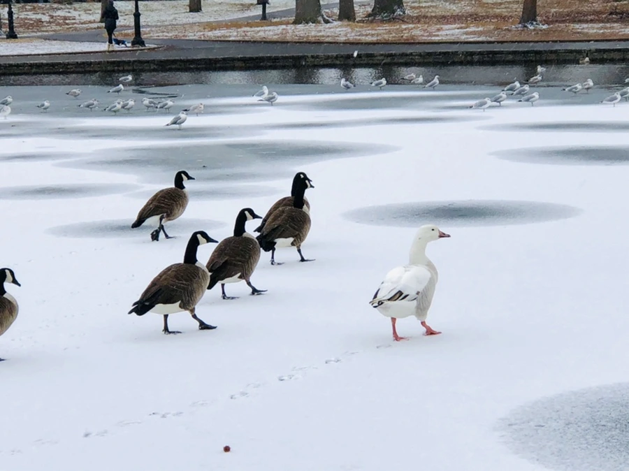 IMG_6037.jpg?type=w966