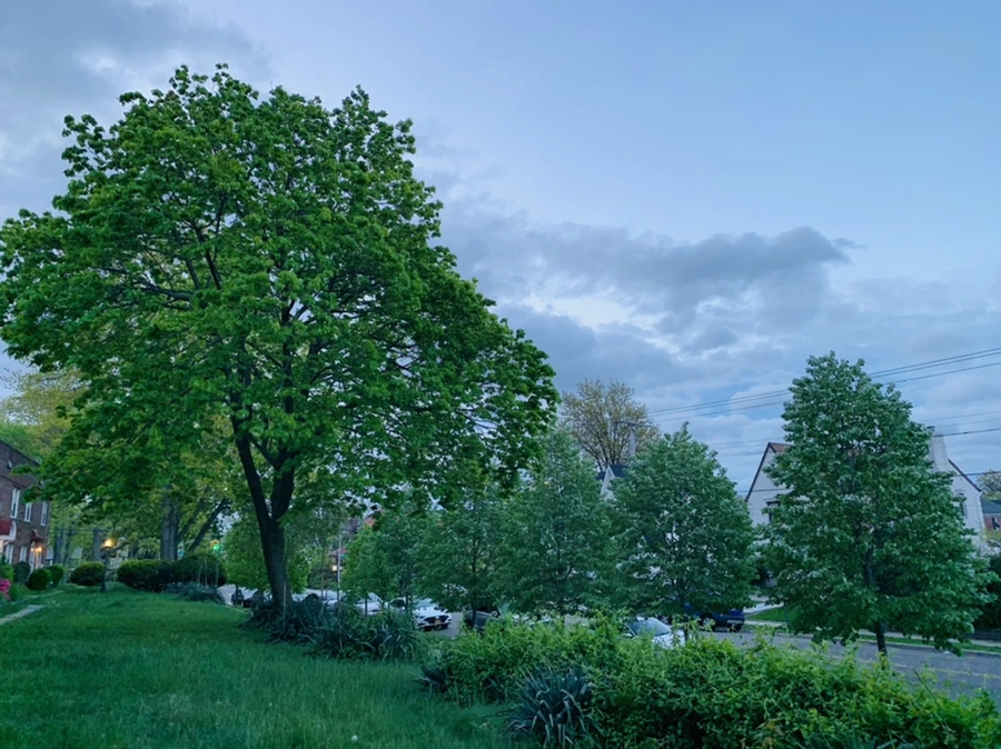 IMG_7492.jpg?type=w966