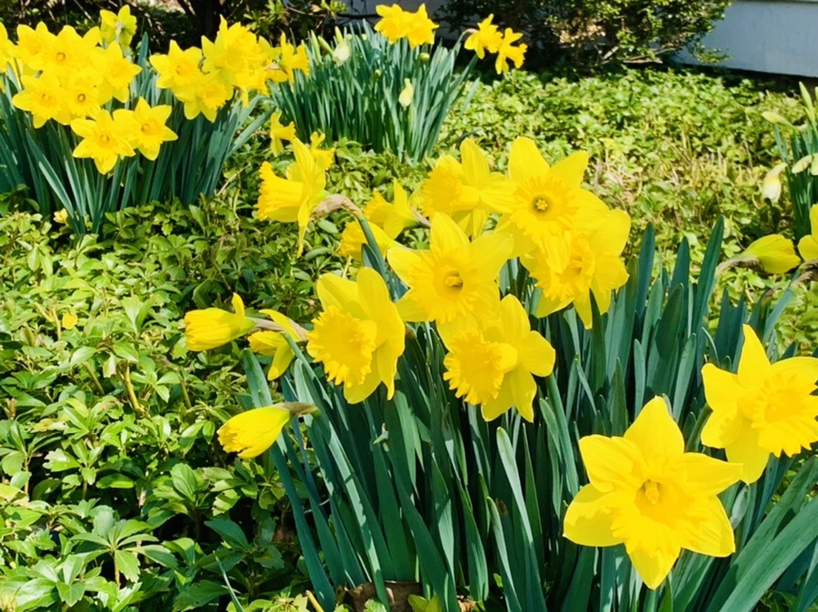 IMG_4273.jpg?type=w966