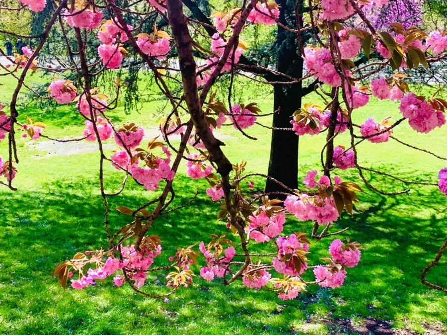 IMG_5905.jpg?type=w966