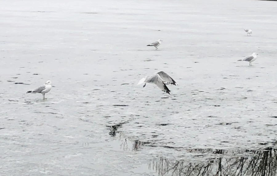 IMG_5522.jpg?type=w966