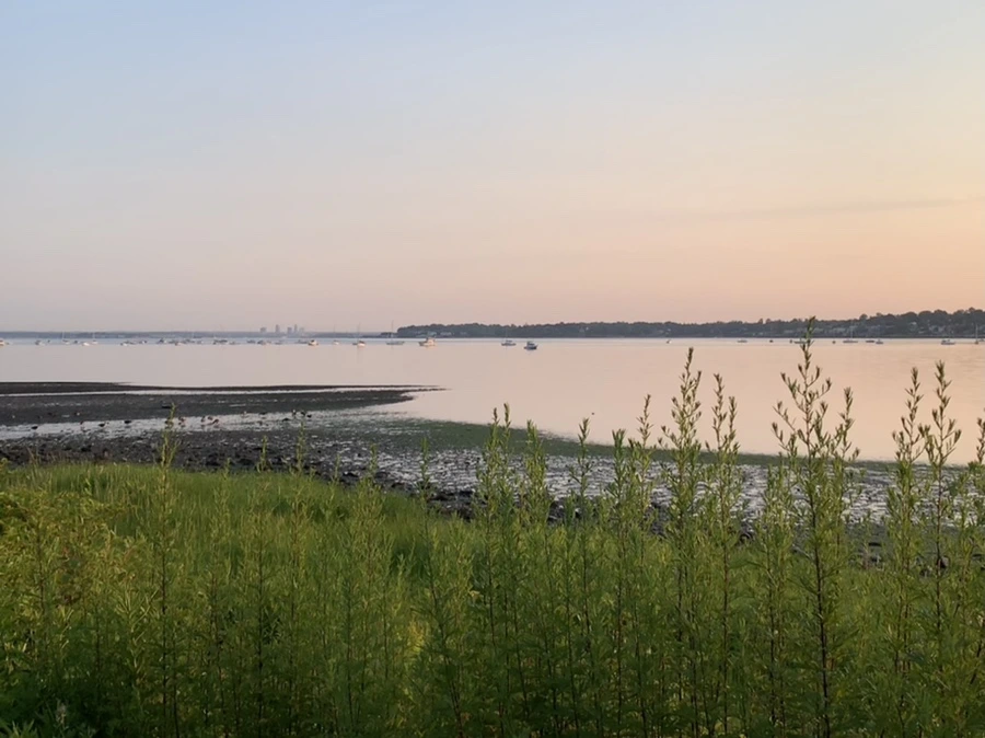 IMG_9588.jpg?type=w966