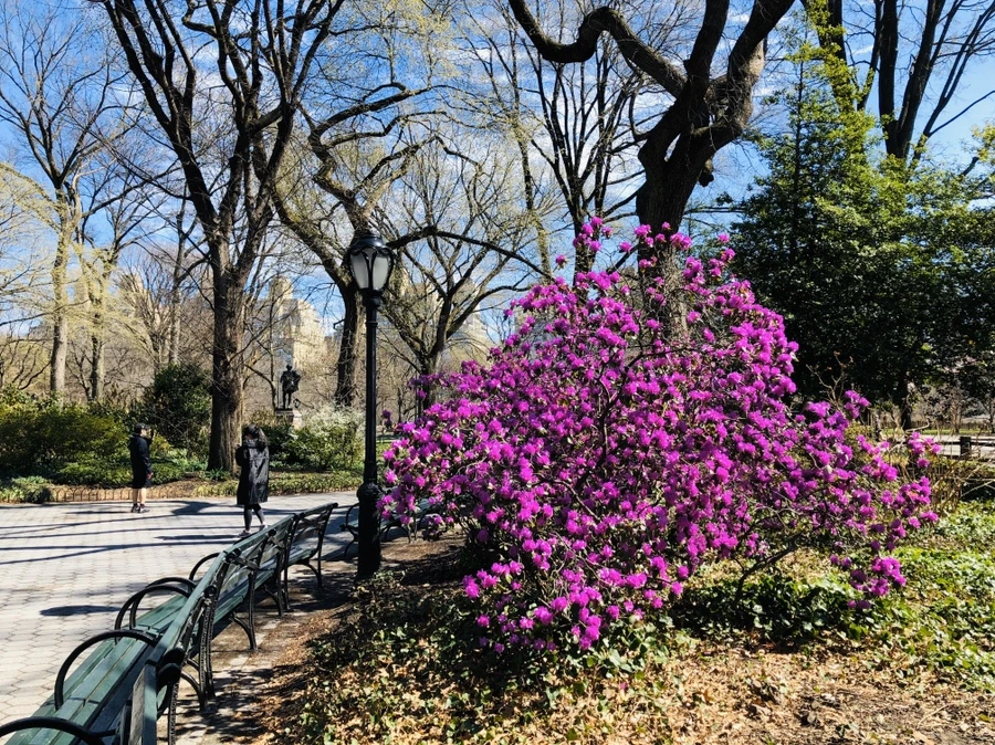 IMG_6620.jpg?type=w966