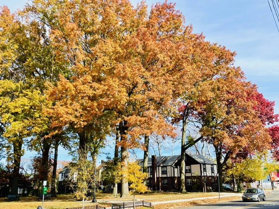 IMG_4117.jpg?type=w966