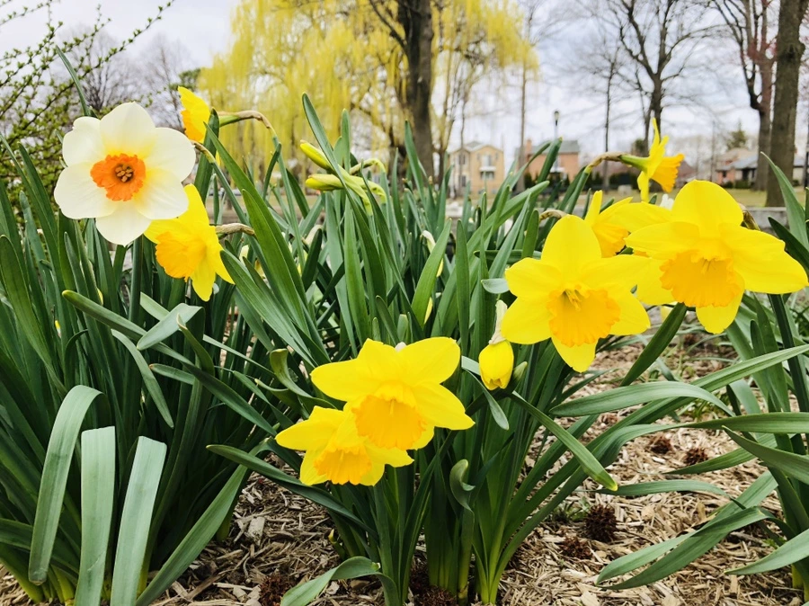 IMG_2756.jpg?type=w966