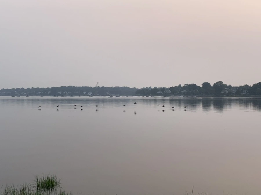 IMG_8180.jpg?type=w966