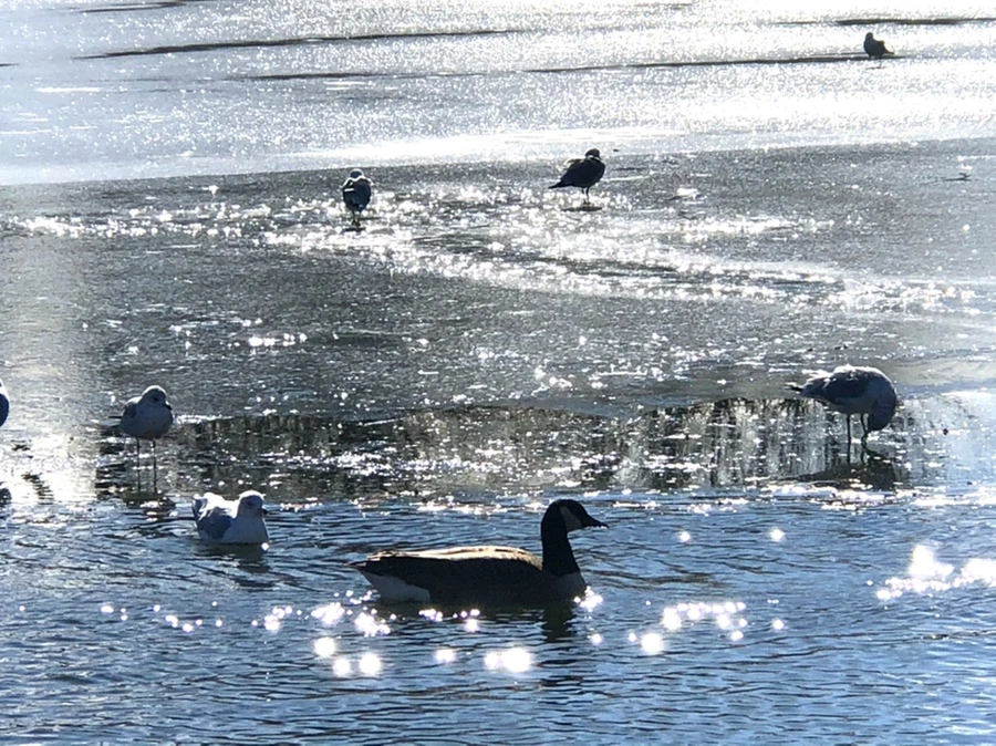 IMG_6860.jpg?type=w966