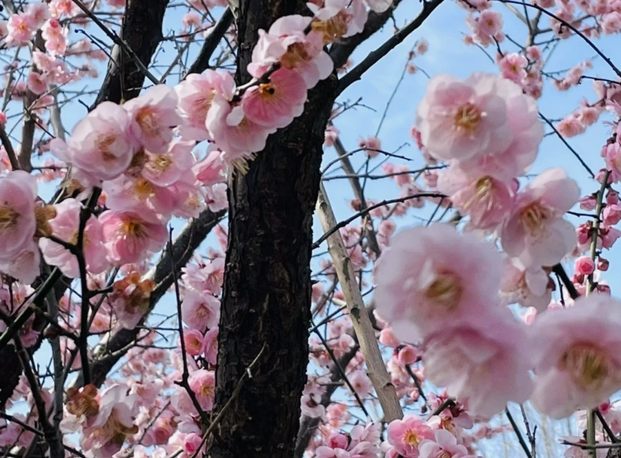 IMG_6626.jpg?type=w966