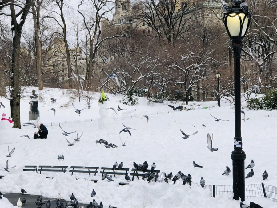 IMG_9130.jpg?type=w966