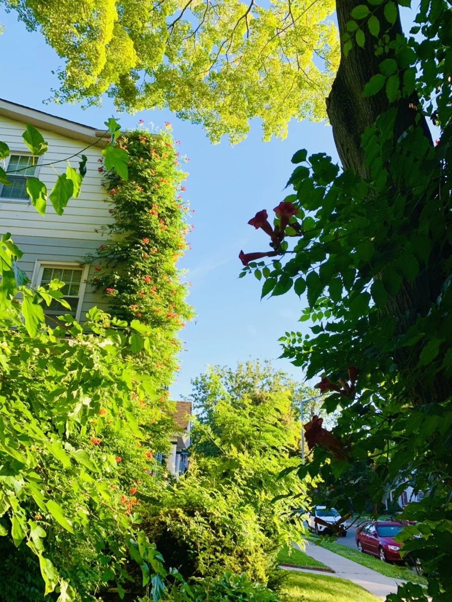 IMG_6497.jpg?type=w966