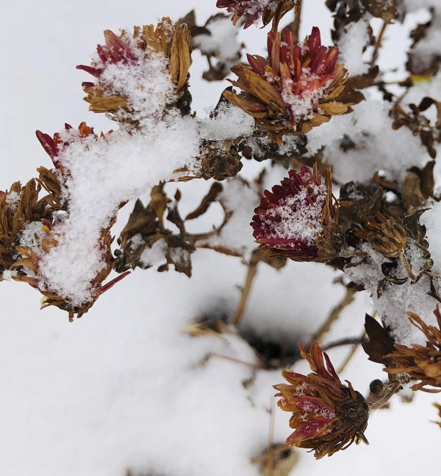 IMG_3313.jpg?type=w966