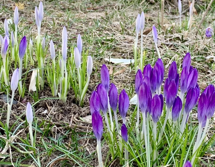 IMG_0758.jpg?type=w966