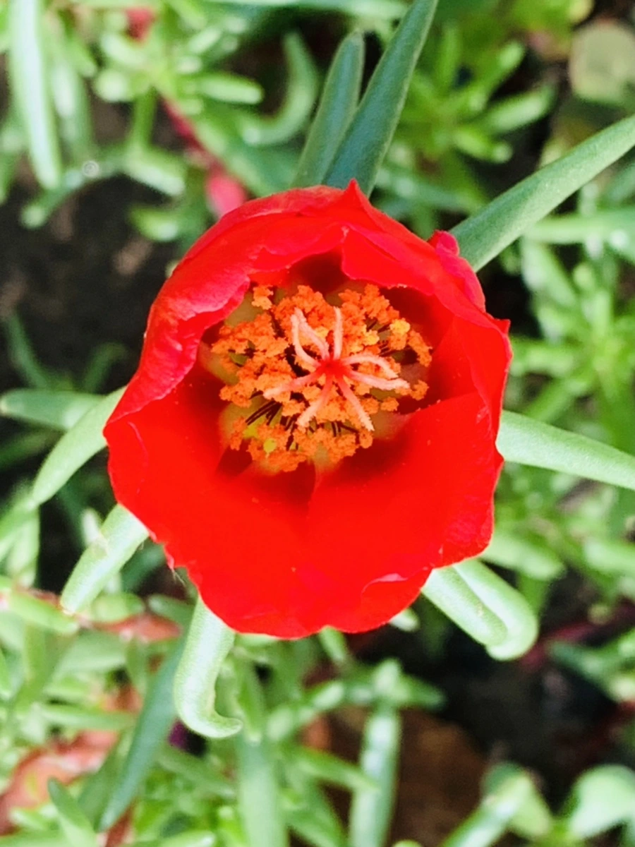 IMG_0350.jpg?type=w966