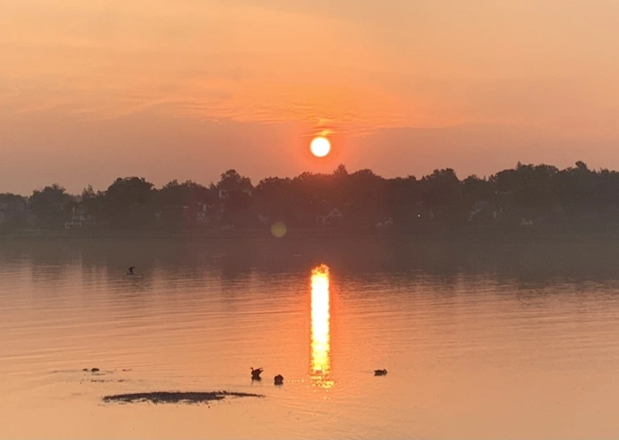 IMG_1378.jpg?type=w966