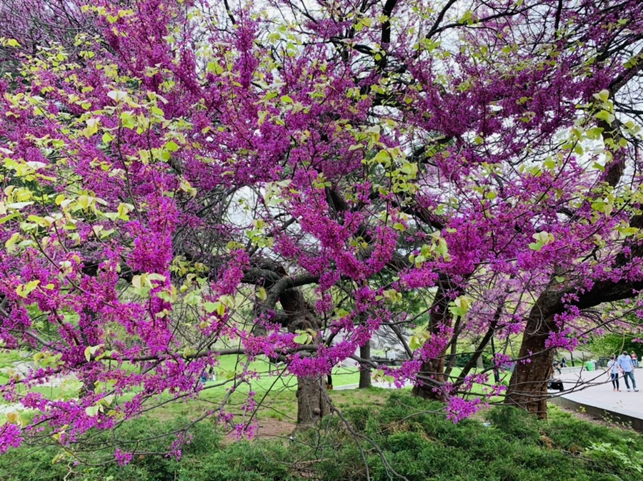 IMG_8760.jpg?type=w966