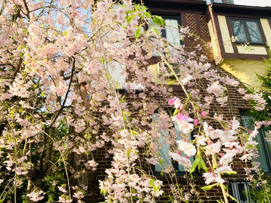 IMG_3785.jpg?type=w966