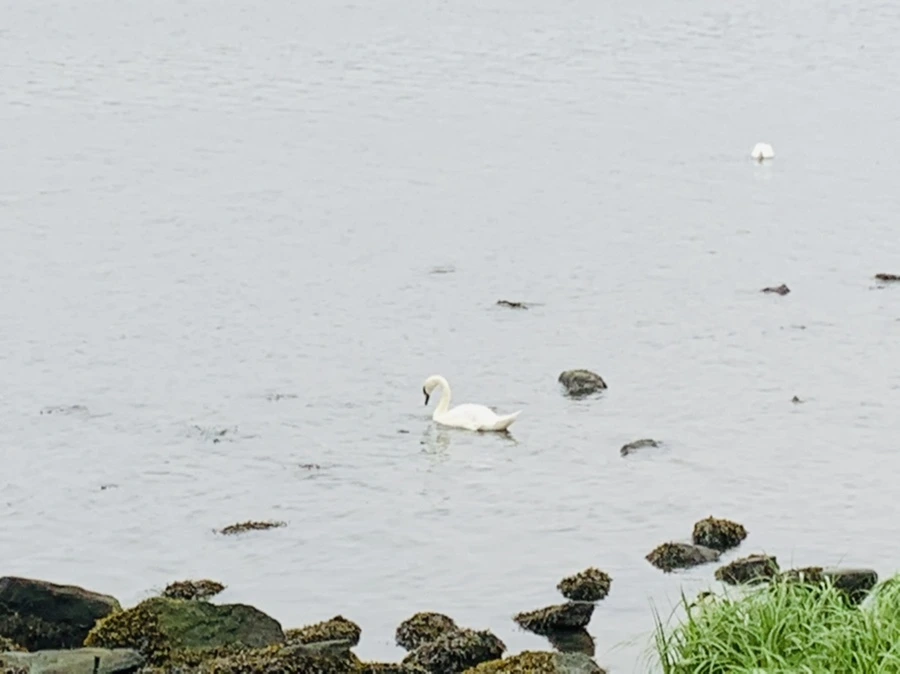 IMG_5113.jpg?type=w966