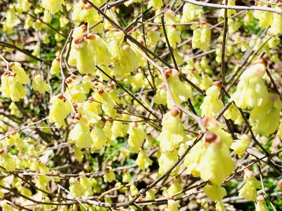 IMG_5696.jpg?type=w966