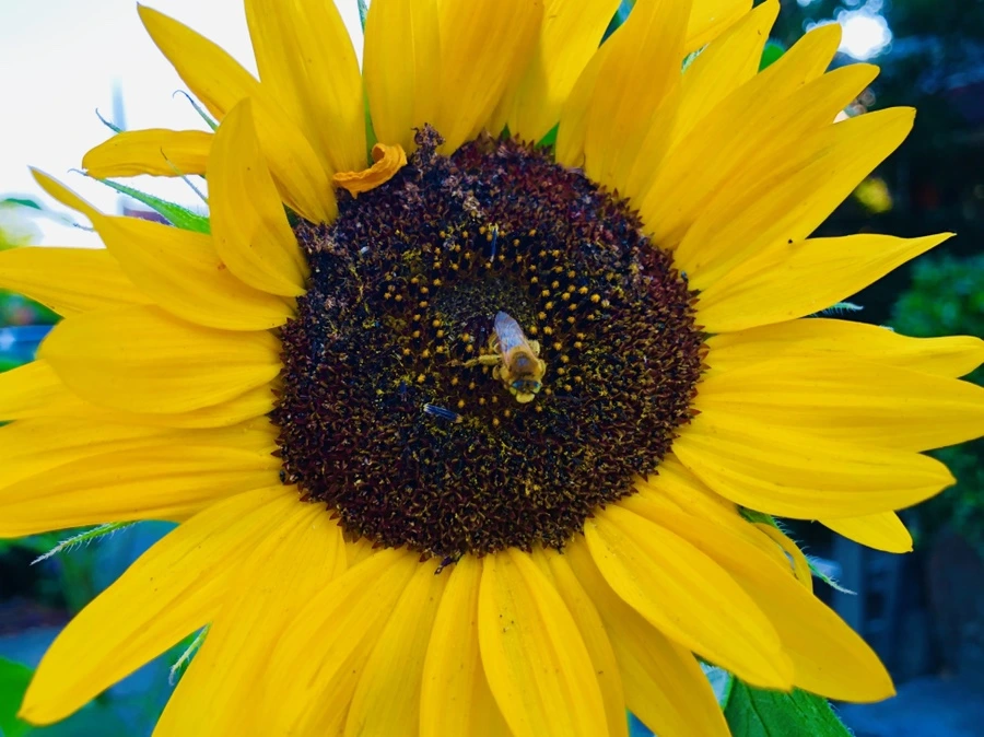 IMG_4670.jpg?type=w966