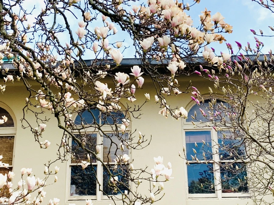 IMG_7206.jpg?type=w966