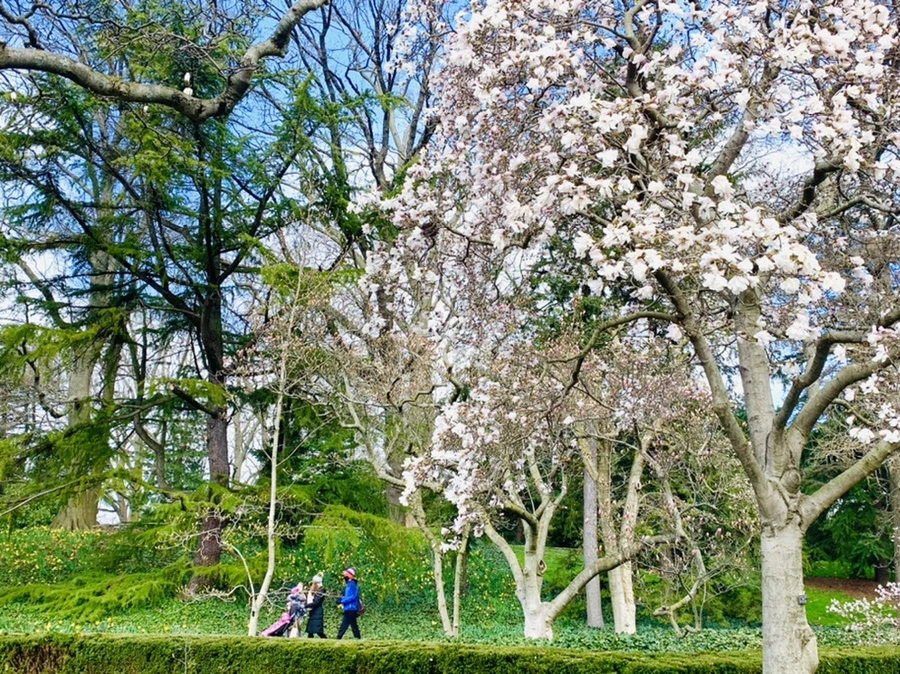 IMG_6500.jpg?type=w966