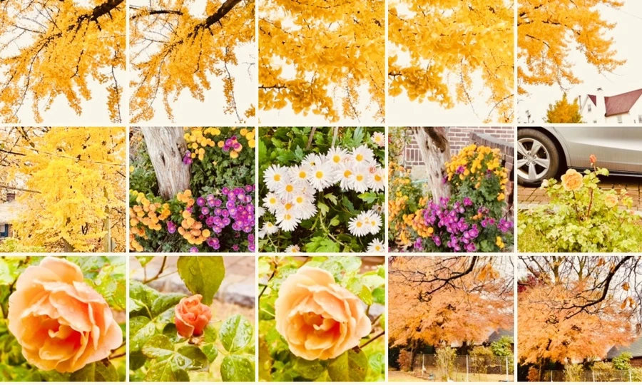 IMG_4972.jpg?type=w966