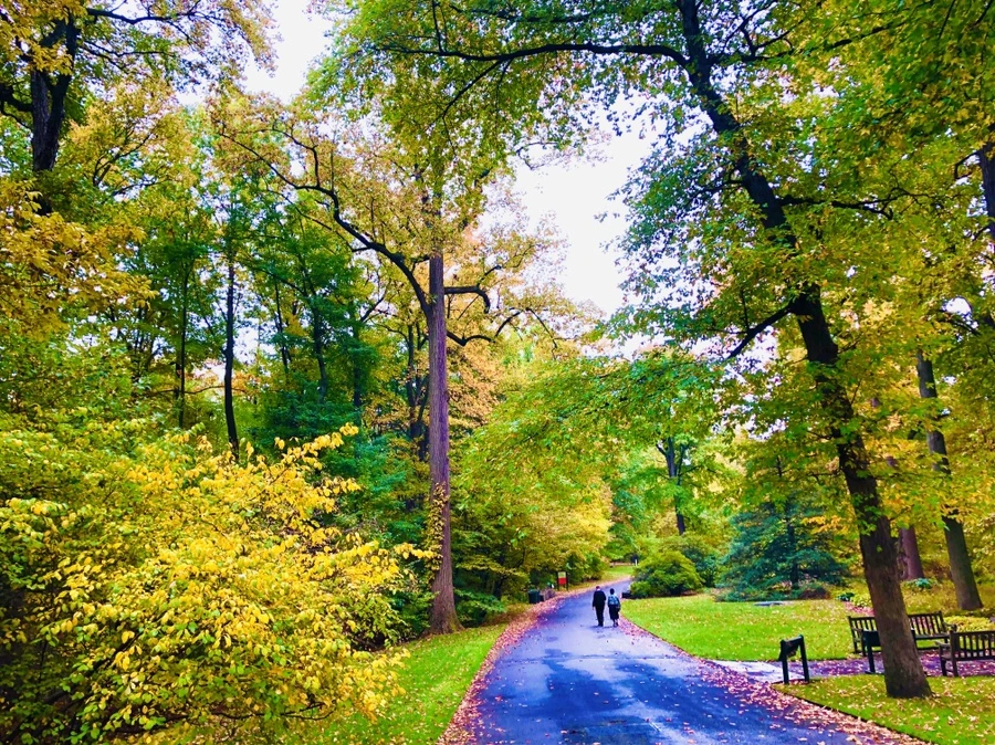 IMG_2207.jpg?type=w966