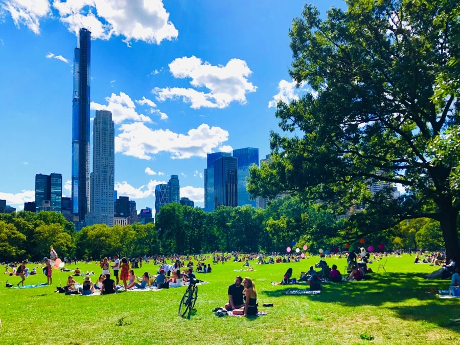 IMG_8870.jpg?type=w966