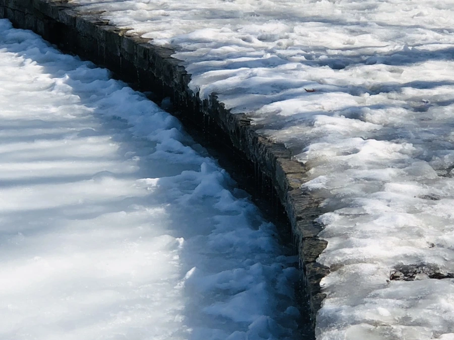 IMG_2982.jpg?type=w966