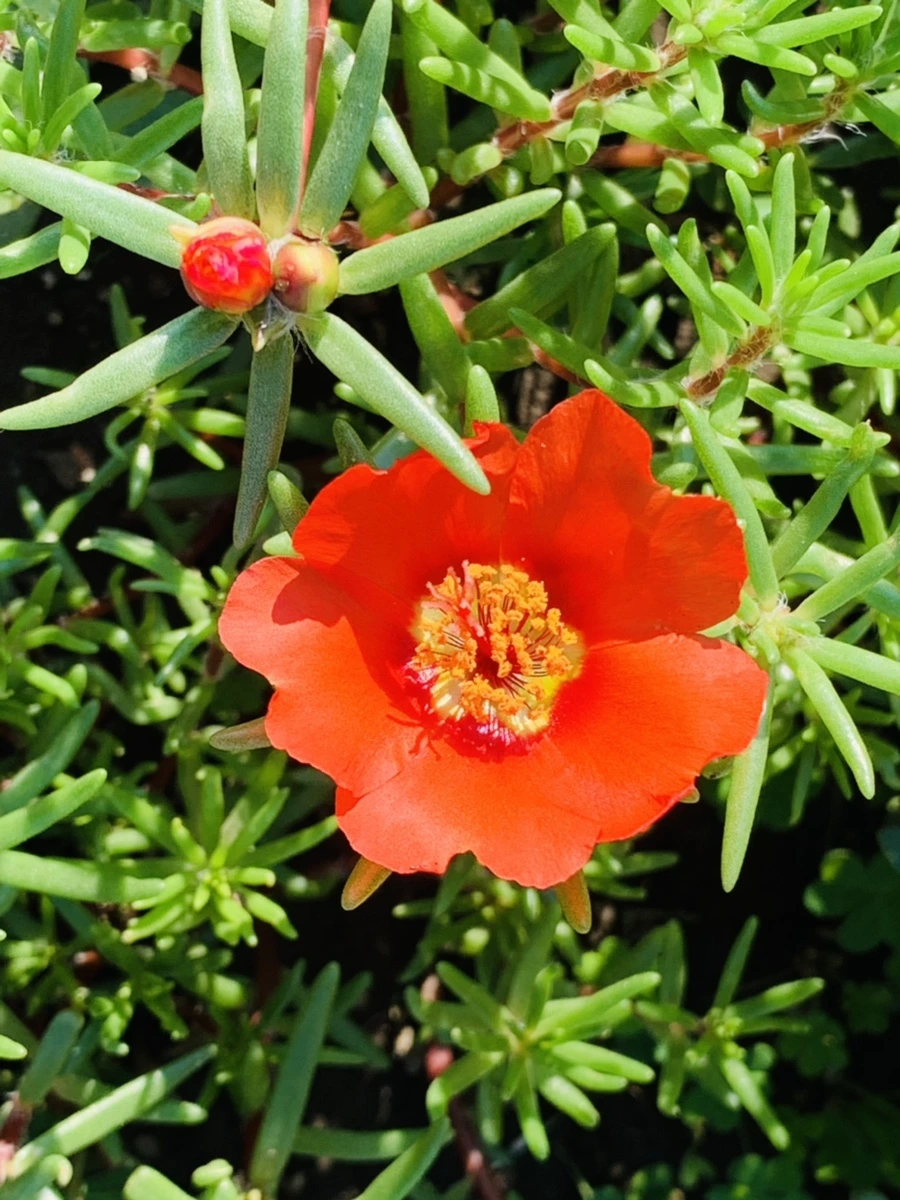 IMG_8405.jpg?type=w966