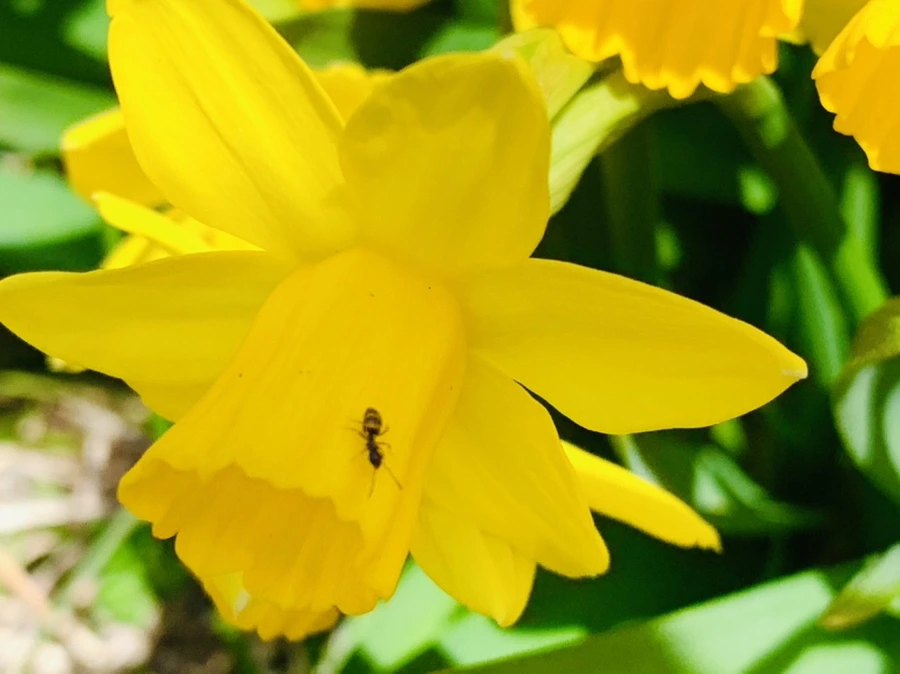 IMG_3389.jpg?type=w966