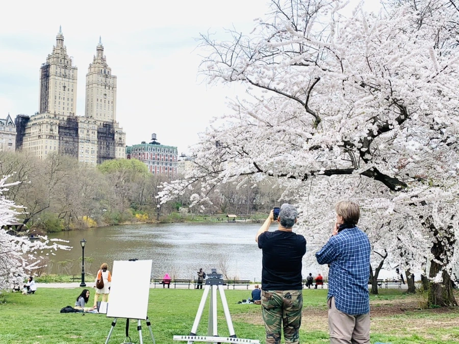 IMG_9707.jpg?type=w966