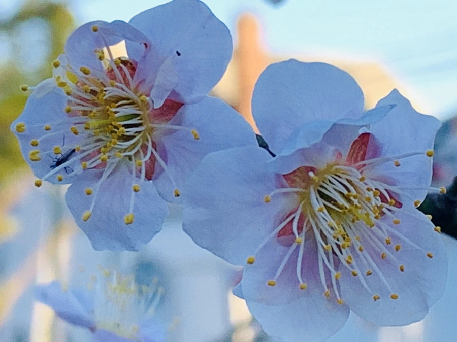 IMG_0844.jpg?type=w966