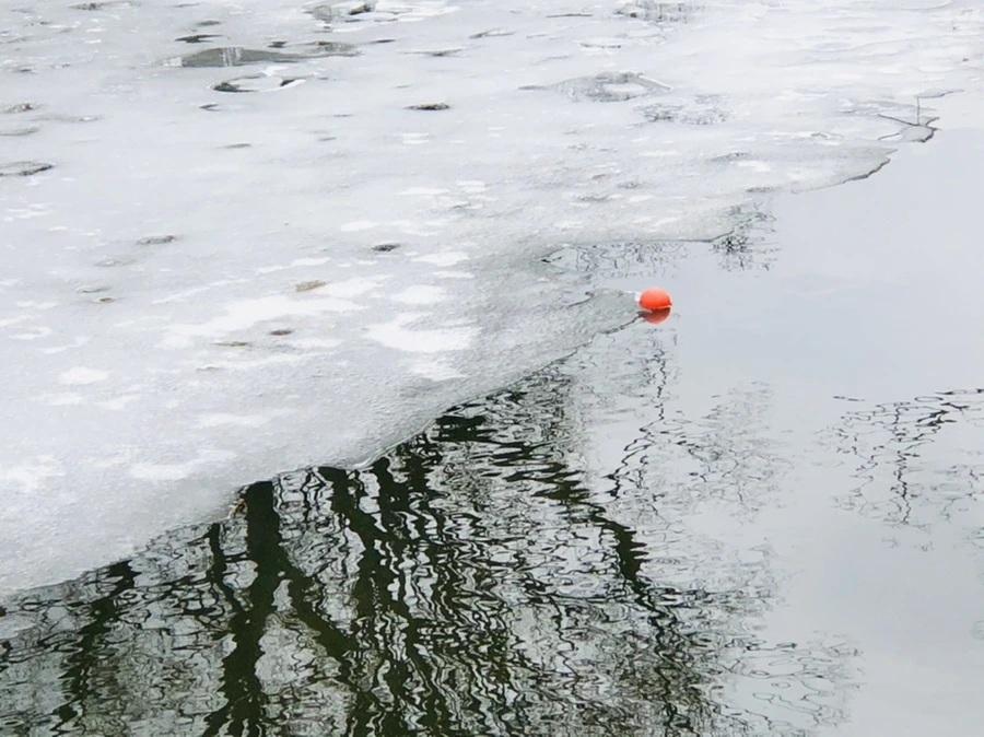 IMG_6487.jpg?type=w966