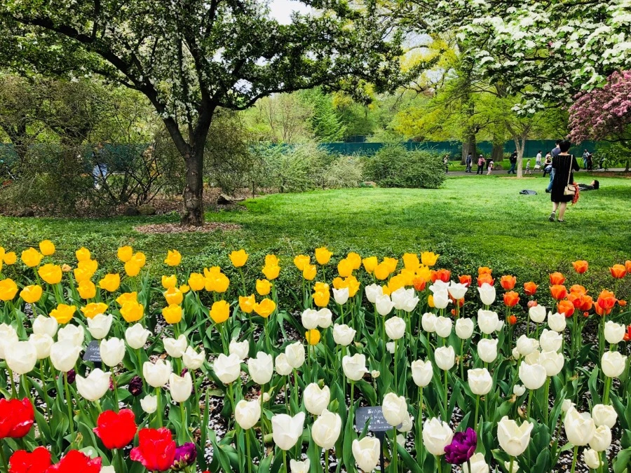 IMG_5500.jpg?type=w966