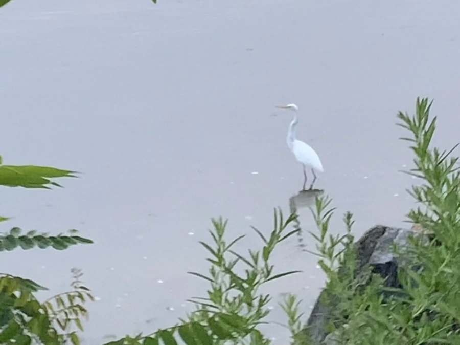 IMG_6300.jpg?type=w966