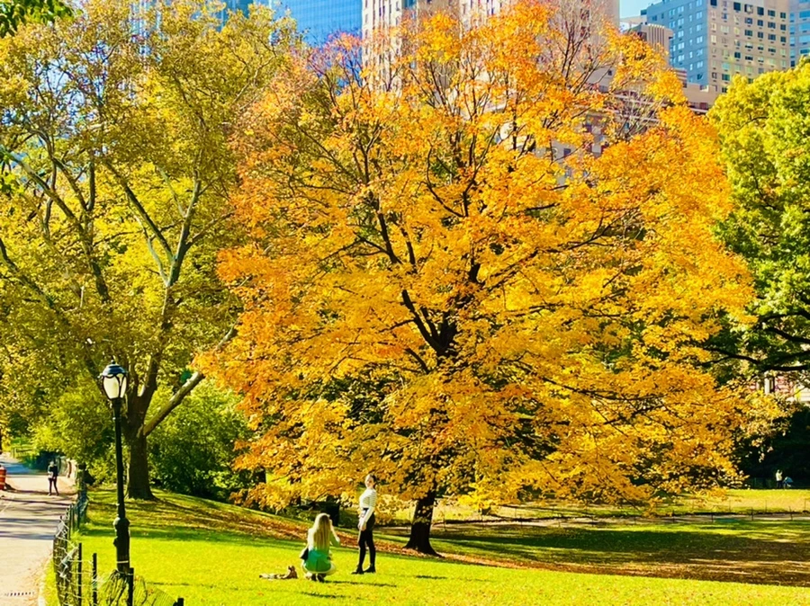 IMG_1713.jpg?type=w966