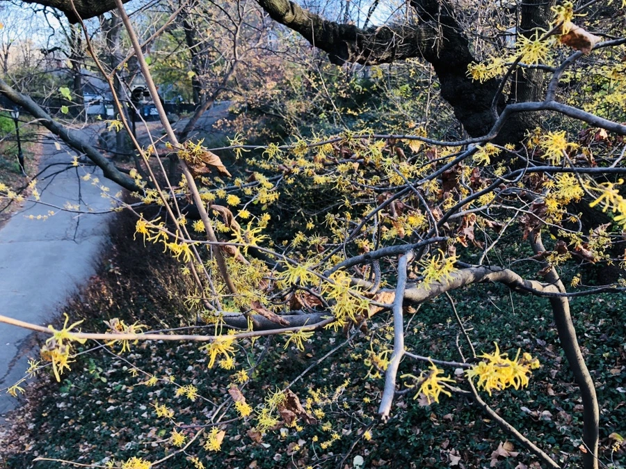 IMG_5339.jpg?type=w966